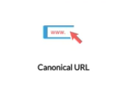 canonical url pixelfy amazon